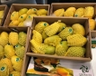 250 сорта манго се отглеждат в Пакистан