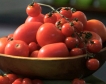 Турция отглежда домати при  -35 градуса