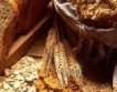 Русия: Рекордна зърнена реколта