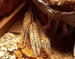Обратното начисляване на ДДС за зърно продължава