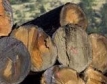Добиването на дървесина в България намалява 