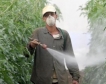 ОЛАФ иззе 11 тона опасни пестициди