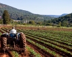 С.Македония ще разшири земеделските си програми