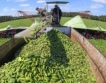 Полша получи още 176 млн.евро за фермерите 