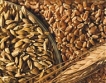 Bloomberg: България изнесла двойно повече пшеница 