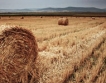 60 % от реколтата на зърно в Русия е събрана