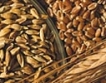 Япония вдига цената на вносната пшеница 