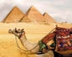 $14 млрд. приходи от туризъм в Египет 