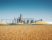 Цени на производител: Спад при зърнените култури