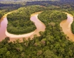 Франция и Бразилия инвестират €1 млрд. в Амазония