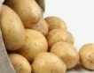 Картофите - храна за 1 млрд. души