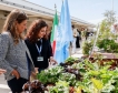 ФАО показа градина за безпочвено земеделие