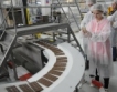 Шоколадовата фабрика в Своге на 100 години