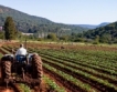 Ръст на аграрния износ на България за Турция