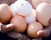 Мита върху вноса на украински яйца