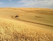 Зърнопроизводителите с 20 % повече разходи през 2011 г.