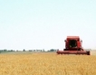  Три пъти по-слаба реколта от жито в Русия