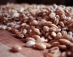 Русия заделя до 2 млн. т зърно за регионите