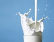 Холандски експерти консултират млечния сектор   