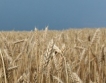 Украйна отново на пазара на зърно