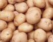 Субсидиите за картофи ясни