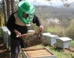 Пчеларите искат нови субсидии