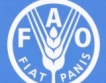 ФАО: нестабилни и високи цени на храните