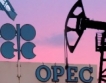 Петролът на ОПЕК $101,63 за барел