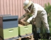 Кредити с 6% лихва за пчелари