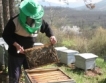 Преустановен прием по програма „Пчеларство”