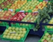  Булгарплод в Пазарджик  "възкръсва"
