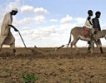  20 млн. хектара земеделска земя в Африка се продават 