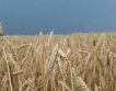 Украйна изнесе по-малко зърно