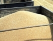 3,7 млн. тона зърнени запаси
