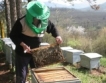Пчели: Без пестициди от 1 декември 