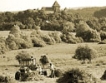 Румънското земеделие излезе от кризата 
