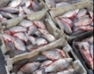 Русия внася най-много норвежка риба