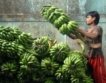 Индия:Бедни са хората с $18 на месец