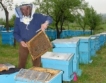 Лихвата по кредити за пчеларство 5%