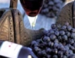 Шардоне и каберне - най-предпочитани родни вина