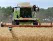 Силистра: По-ниски добиви на зърно