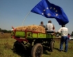Немски експерти ще обучават български животновъди