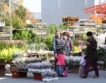 София изгражда специализиран пазар за цветя