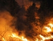 Пожар в горите на Златоград