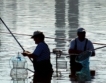 Рибарски общности получиха 2.4 млн. лева