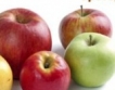 Цена на български ябълки = 1,05 лв./кг