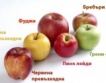 Време е за ябълки: Видове & факти