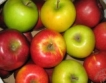 България е произвела най-много ябълки + череши