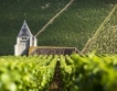 Франция изнася вино за 8.2 млрд.евро