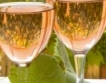 Шардоне + оранжеви вина на фестивал в Бургас 